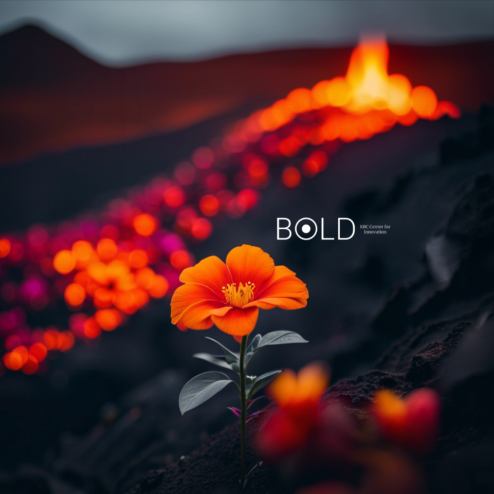 BOLD KBC Center for Innovation dargestellt durch eine auf Vulkangestein wachsende Blume. Lava befindet sich im Hintergrund sowie das Logo von BOLD KBC Center for Innovation.